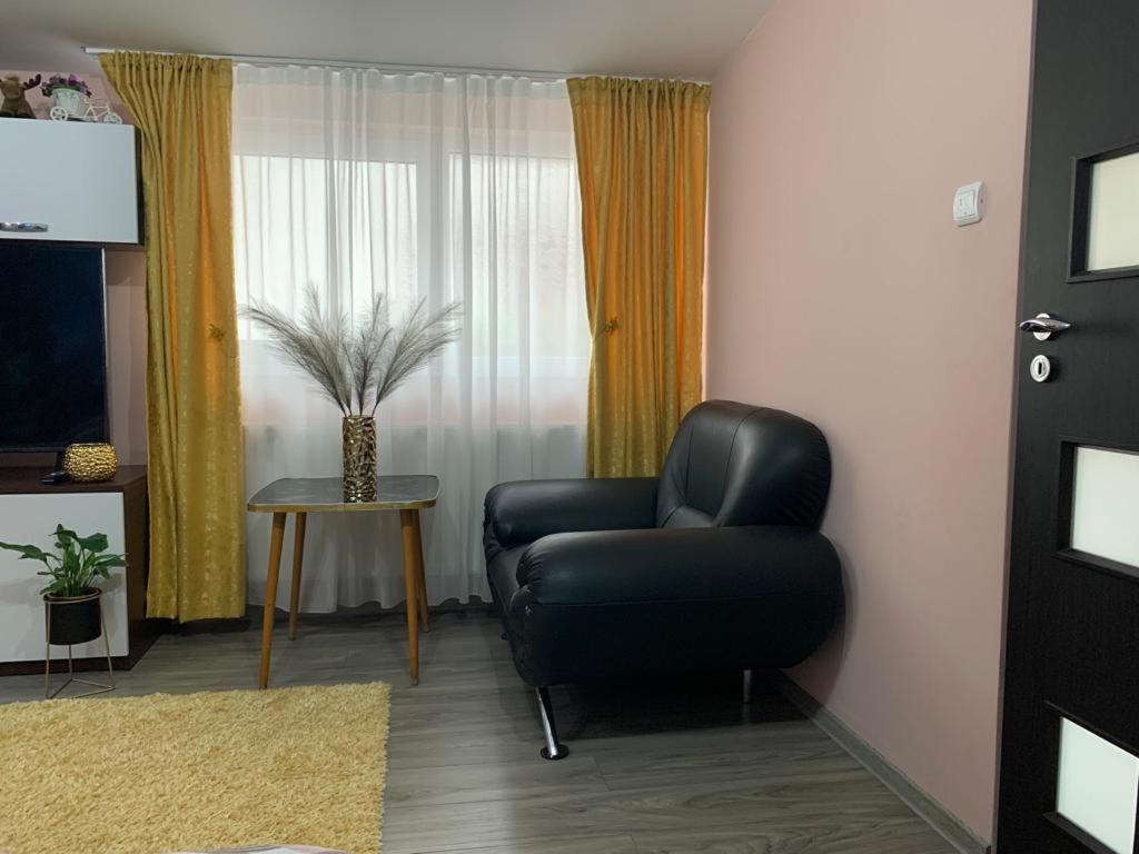 Garsoniera Madalina Apartment Sibiu Exterior photo