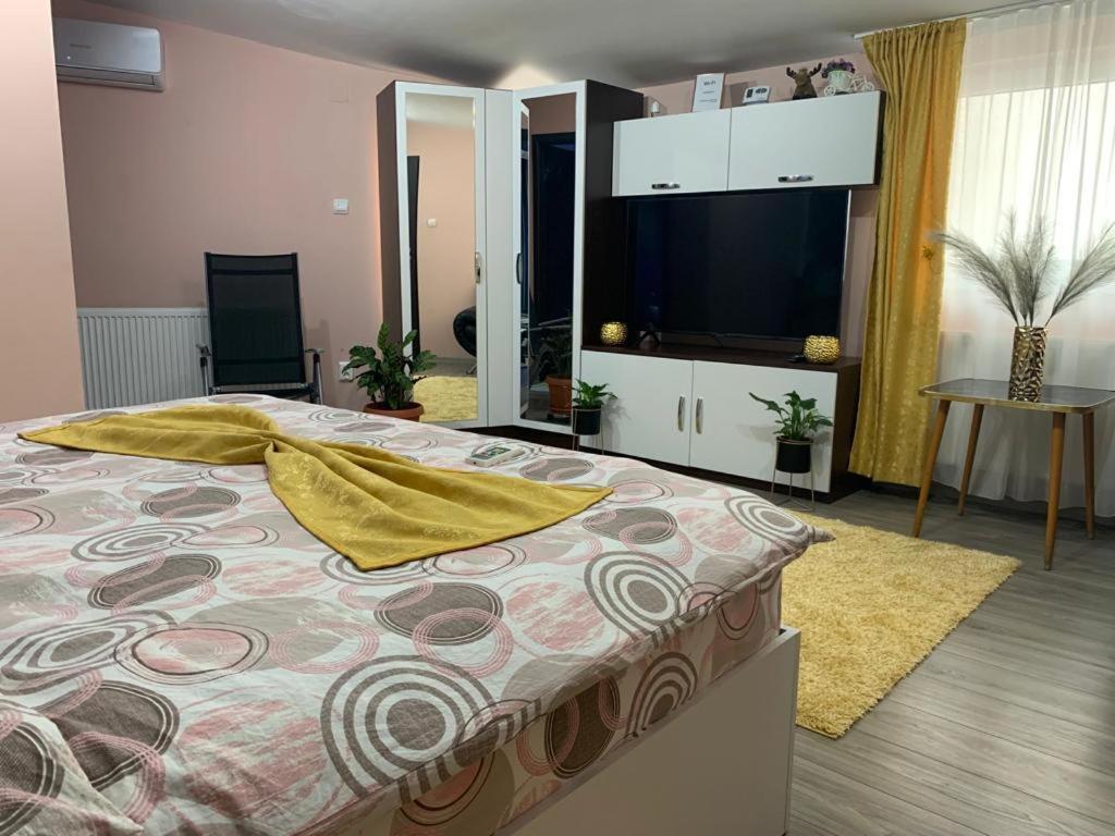 Garsoniera Madalina Apartment Sibiu Exterior photo